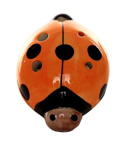 Musical Instrument Ocarina for Child Beetle Ocarina; 6 Holes Orange